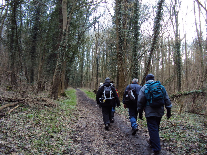 hainin820 le bois de st ghislain.jpg